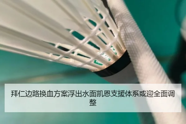 拜仁边路换血方案浮出水面凯恩支援体系或迎全面调整