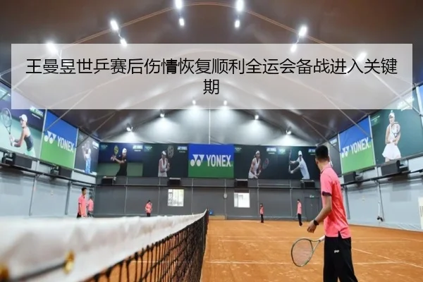 王曼昱世乒赛后伤情恢复顺利全运会备战进入关键期